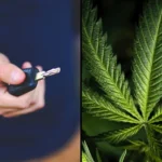 Car keys marijuana.jpg