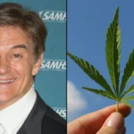 Dr mehmet oz marijuana