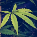 Esteban lopez 272105 e1544985017556.jpg