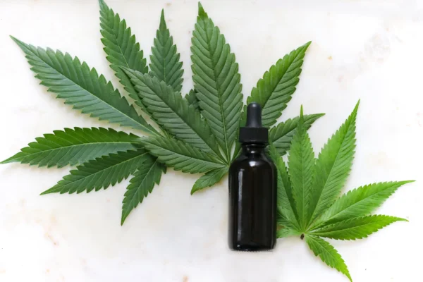 Federal Agency Finalized Rule For CBD Medicare Coverage Pilot Program Weeks Ago, Key Hemp Stakeholder Says