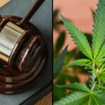 Marijuana legislation bill leaf gavel