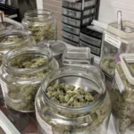 Nmweed scaled e1576866077384.jpg