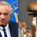 Rfk kennedy psiliocybin psychedelic mushroom
