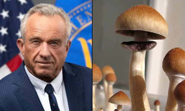 Trump Administration ‘Very Anxious’ To Allow Psychedelic Therapy ‘As Quickly As Possible,’ RFK Tells Joe Rogan
