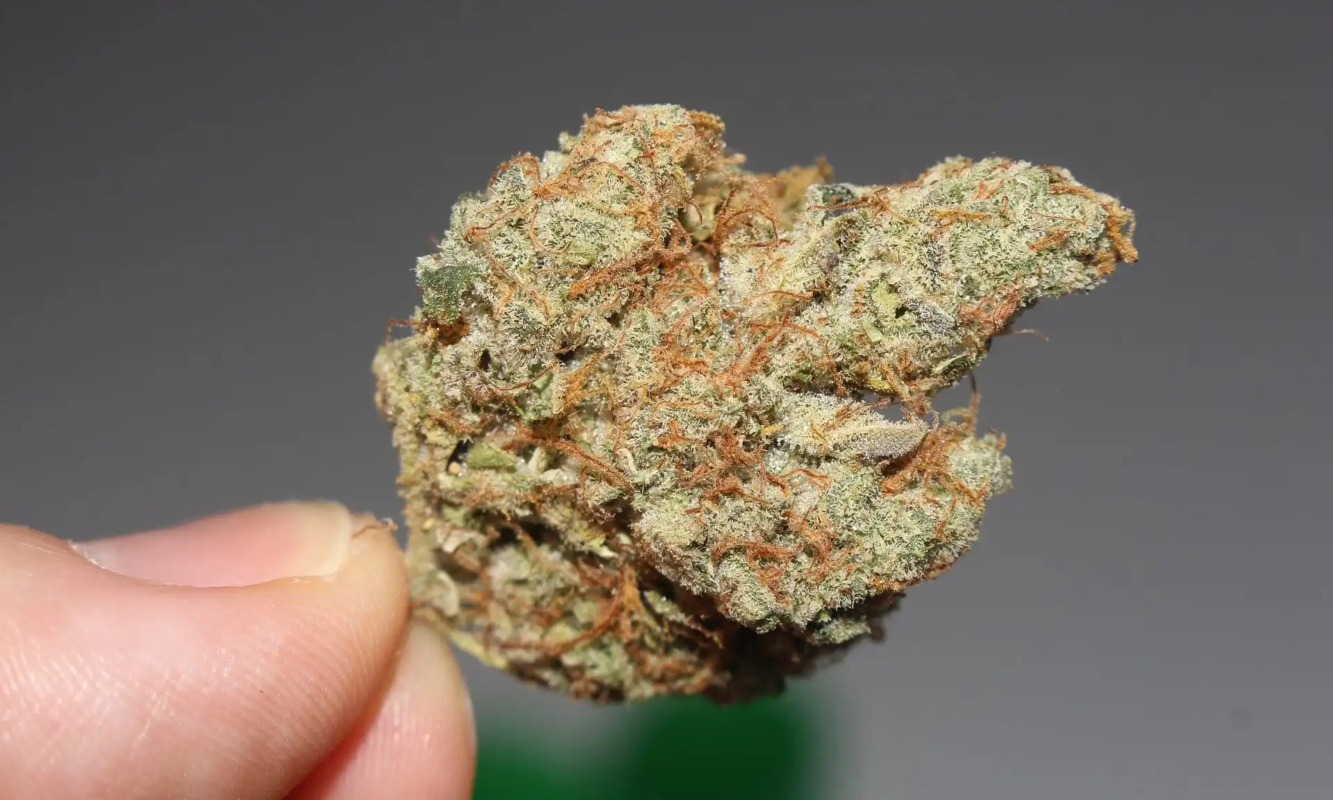 Weed 2517248 1920 e1541068407515