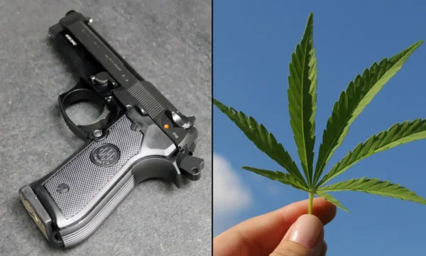 Supreme Court Justices Suggest Trump’s Marijuana Rescheduling Move Undermines Gun Ban For Users That His DOJ Is Defending