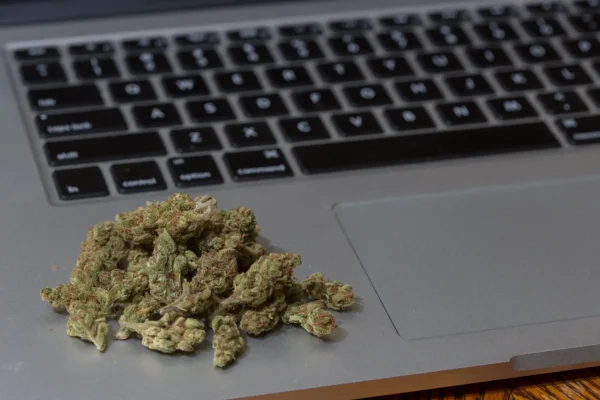 Congressional Lawmakers Approve Youth Safety Bill That Could Complicate Marijuana Businesses’ Online Outreach