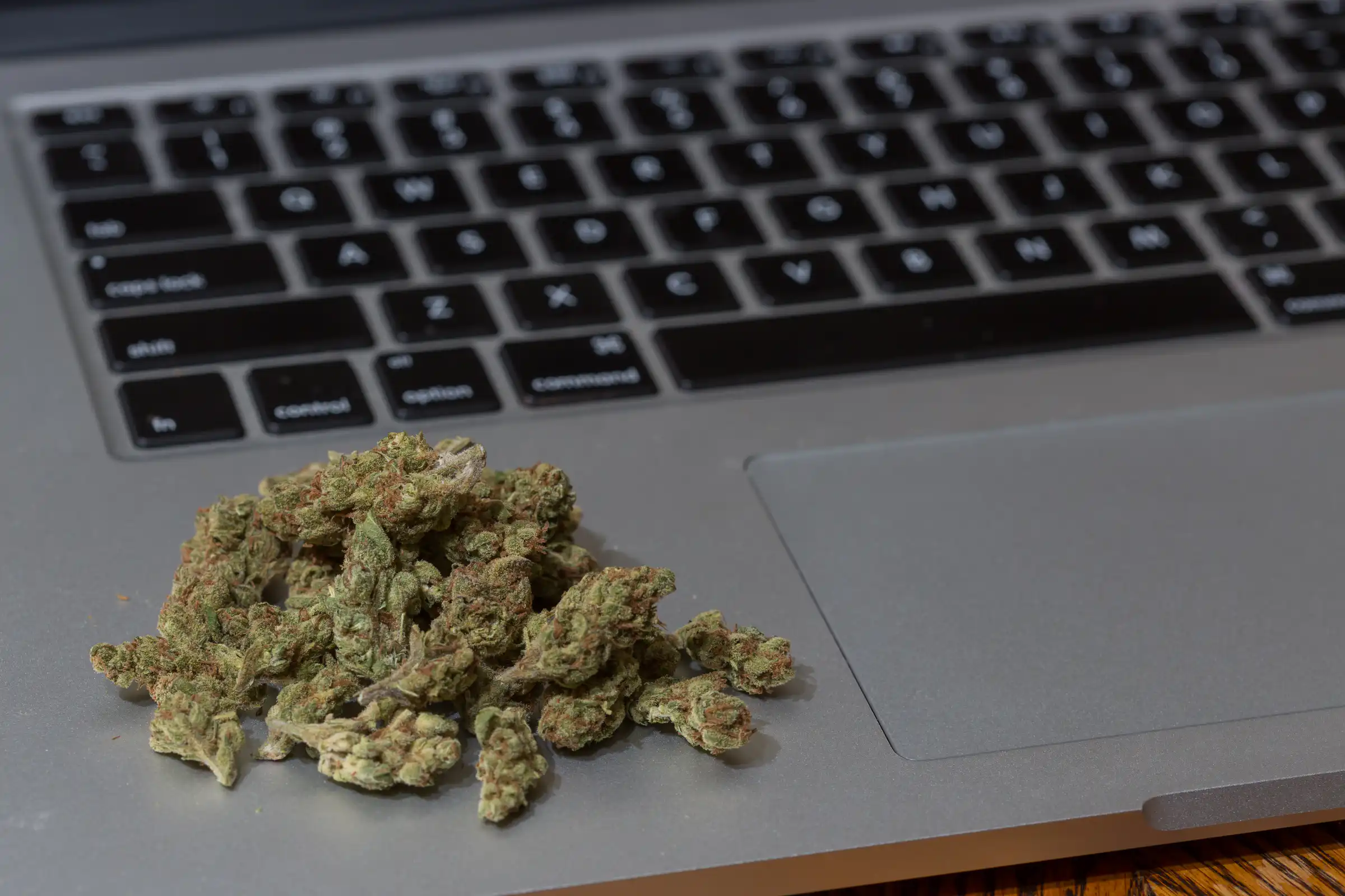 Marijuana laptop
