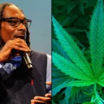 Snoop dogg marijuana