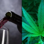 Wine alcohol marijuana